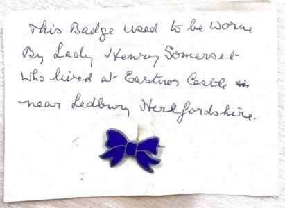 Blue Ribbon Badge